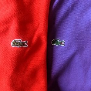 not available: 2 Lacoste polo shirts in one price